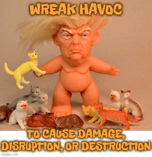 WREAK HAVOC | WREAK HAVOC; TO CAUSE DAMAGE, DISRUPTION, OR DESTRUCTION | image tagged in wreak havoc,cause,damage,disruption,destruction,chaos | made w/ Imgflip meme maker