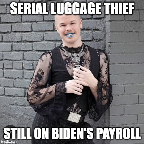 Luggage Thief | SERIAL LUGGAGE THIEF; STILL ON BIDEN'S PAYROLL | image tagged in luggage thief | made w/ Imgflip meme maker