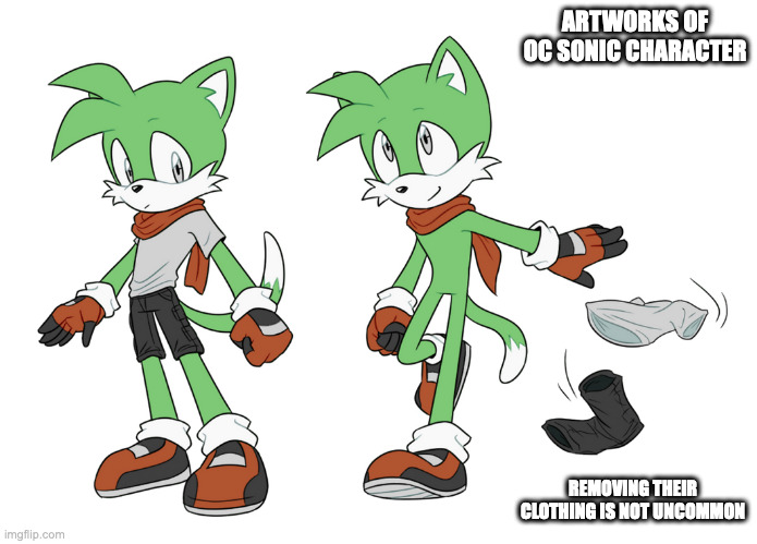 OC Sonic Characters Removing Clothing | ARTWORKS OF OC SONIC CHARACTER; REMOVING THEIR CLOTHING IS NOT UNCOMMON | image tagged in sonic the hedgehog,oc,memes | made w/ Imgflip meme maker