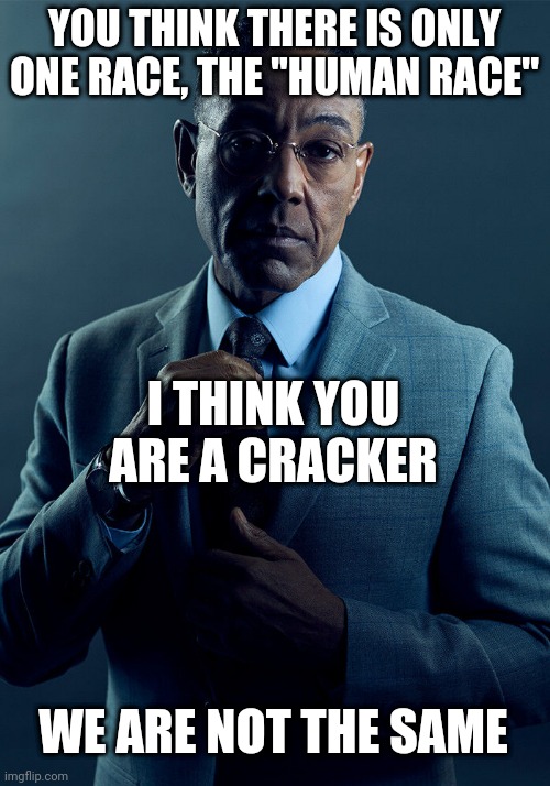 CRACKA | YOU THINK THERE IS ONLY ONE RACE, THE ''HUMAN RACE''; I THINK YOU ARE A CRACKER; WE ARE NOT THE SAME | made w/ Imgflip meme maker