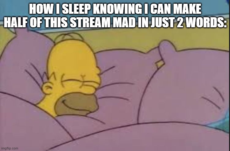 how i sleep homer simpson | HOW I SLEEP KNOWING I CAN MAKE HALF OF THIS STREAM MAD IN JUST 2 WORDS: | image tagged in how i sleep homer simpson | made w/ Imgflip meme maker