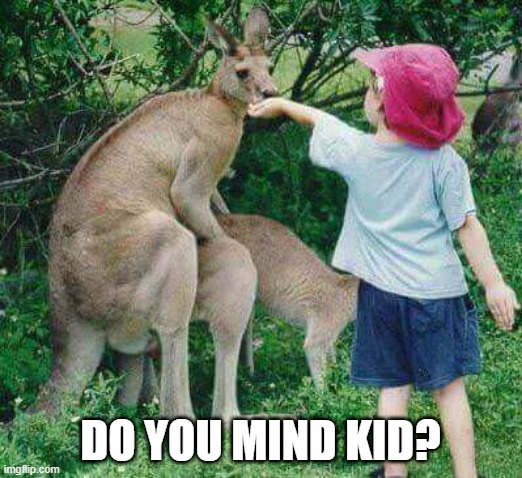Ready for some Kangaroo Love | DO YOU MIND KID? | image tagged in sex jokes | made w/ Imgflip meme maker