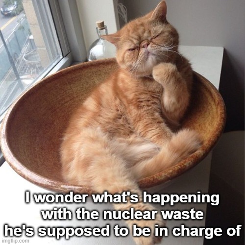 Wondering cat | I wonder what's happening with the nuclear waste he's supposed to be in charge of | image tagged in wondering cat | made w/ Imgflip meme maker