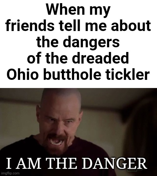 Image title | When my friends tell me about the dangers of the dreaded Ohio butthole tickler; I AM THE DANGER | image tagged in i am the danger,ti | made w/ Imgflip meme maker