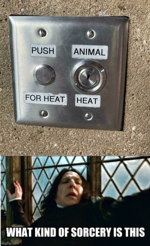 "Push animal for heat heat" | image tagged in what kind of sorcery is this,push,animal,heat,you had one job,memes | made w/ Imgflip meme maker