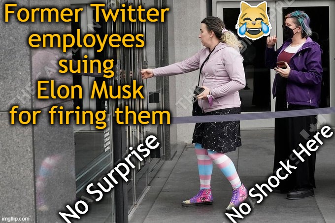 Thank you, Elon, for bringing freedom of speech and sanity to Twitter! | image tagged in politics,twitter,elon musk,you're fired,freedom of speech,sanity | made w/ Imgflip meme maker