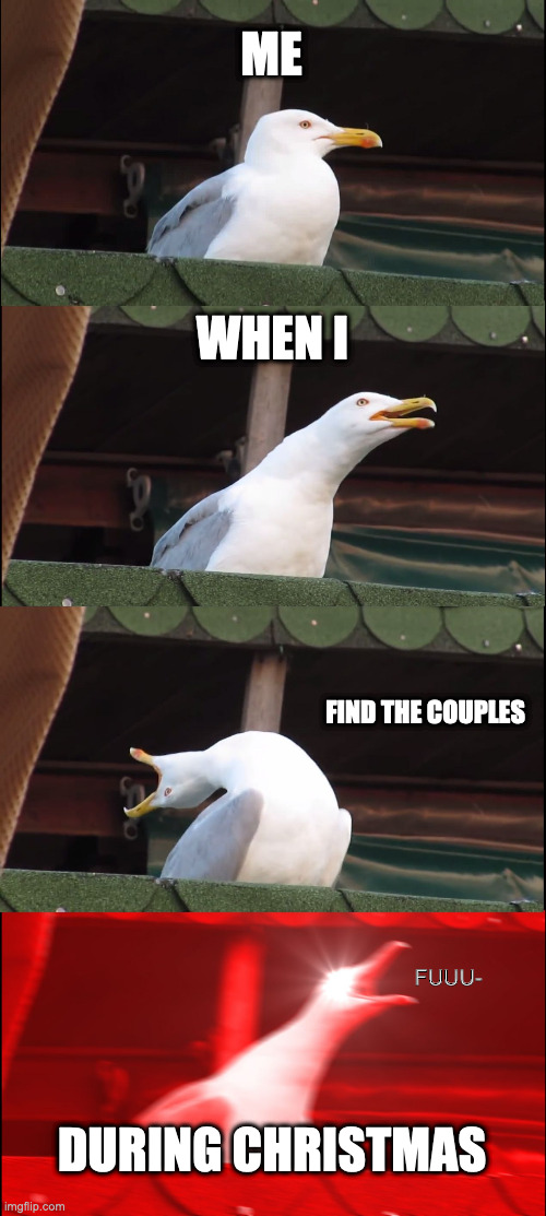 Inhaling Seagull | ME; WHEN I; FIND THE COUPLES; FUUU-; DURING CHRISTMAS | image tagged in memes,inhaling seagull | made w/ Imgflip meme maker