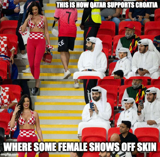 Croatia Supporter | THIS IS HOW QATAR SUPPORTS CROATIA; WHERE SOME FEMALE SHOWS OFF SKIN | image tagged in fifa,memes | made w/ Imgflip meme maker