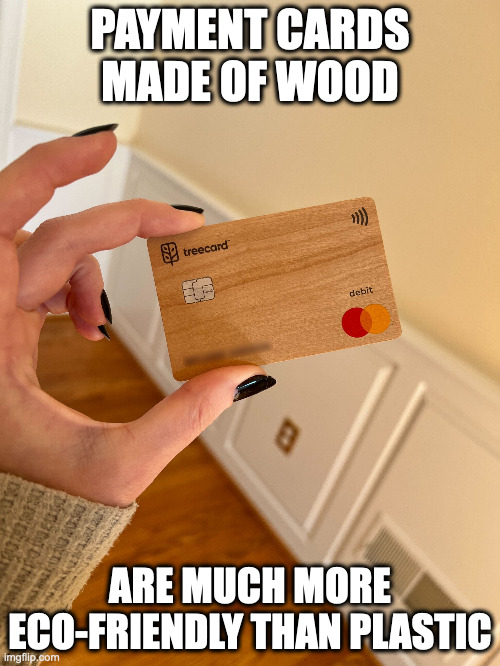 Plastic Debit Card | PAYMENT CARDS MADE OF WOOD; ARE MUCH MORE ECO-FRIENDLY THAN PLASTIC | image tagged in card,memes | made w/ Imgflip meme maker