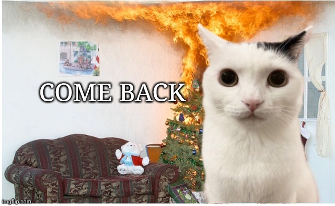 Cat Christmas | COME BACK | image tagged in cat christmas | made w/ Imgflip meme maker