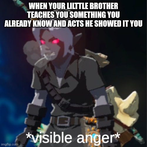 Siblings | WHEN YOUR LILTTLE BROTHER TEACHES YOU SOMETHING YOU ALREADY KNOW AND ACTS HE SHOWED IT YOU | image tagged in visible anger | made w/ Imgflip meme maker
