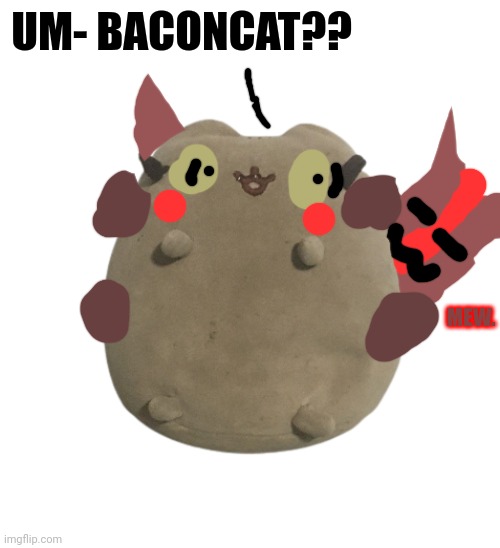 BaconCat giving Larry a "Bacon Wrap" as Eggyhead calls it | UM- BACONCAT?? MEW. | image tagged in larry the cat | made w/ Imgflip meme maker