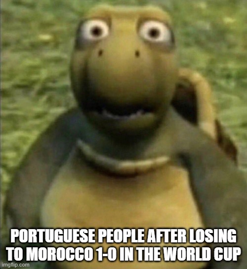 Well, just of happened now. | PORTUGUESE PEOPLE AFTER LOSING TO MOROCCO 1-0 IN THE WORLD CUP | image tagged in shocked turtle | made w/ Imgflip meme maker