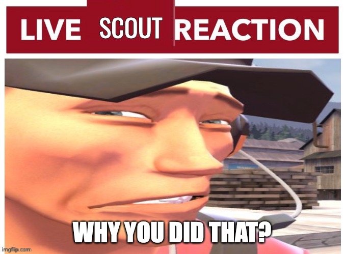 Live scout reaction | WHY YOU DID THAT? | image tagged in live scout reaction | made w/ Imgflip meme maker