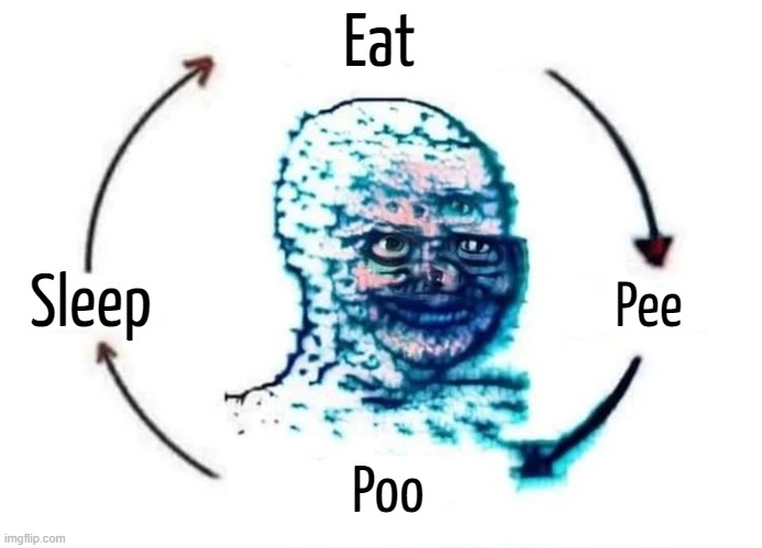 Eat; Sleep; Pee; Poo | made w/ Imgflip meme maker