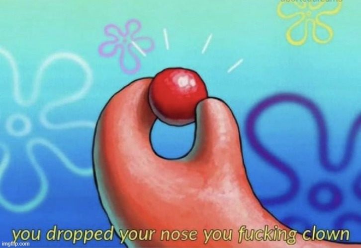 you dropped your nose you fucking clown | image tagged in you dropped your nose you fucking clown | made w/ Imgflip meme maker