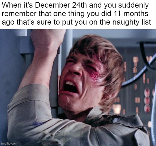 NOOOOOOOOOOOO! | When it's December 24th and you suddenly remember that one thing you did 11 months ago that's sure to put you on the naughty list | image tagged in luke nooooo,christmas,naughty list,relatable,xd | made w/ Imgflip meme maker