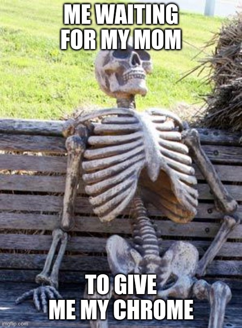 Been waiting since i woke up at about 9. Its 11:30 rn | ME WAITING FOR MY MOM; TO GIVE ME MY CHROME | image tagged in memes,waiting skeleton,still waiting,bored,mad | made w/ Imgflip meme maker