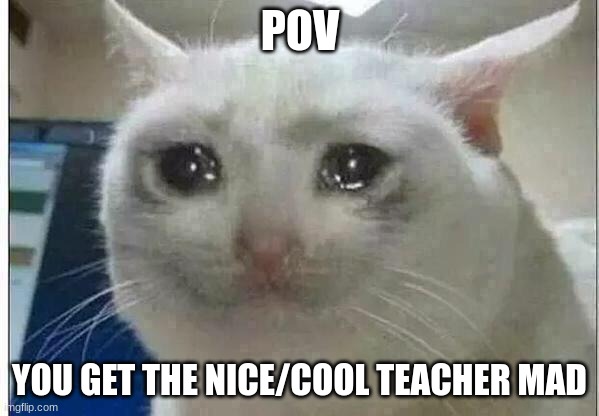 crying cat | POV; YOU GET THE NICE/COOL TEACHER MAD | image tagged in crying cat | made w/ Imgflip meme maker