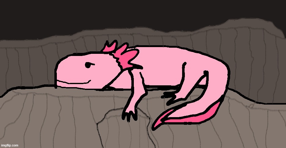 just chillin' | image tagged in axolotl,cute,funny | made w/ Imgflip meme maker