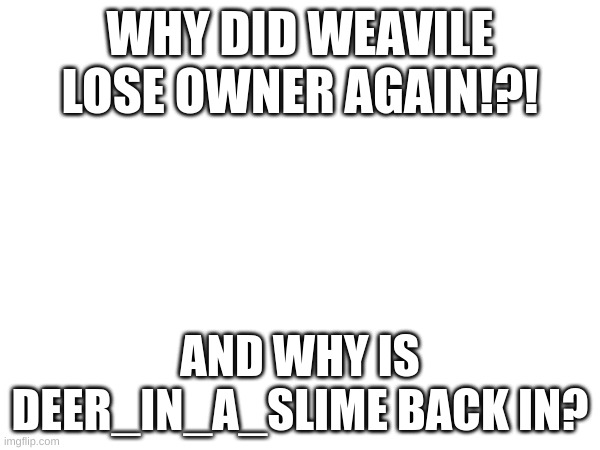 why? | WHY DID WEAVILE LOSE OWNER AGAIN!?! AND WHY IS DEER_IN_A_SLIME BACK IN? | image tagged in i | made w/ Imgflip meme maker