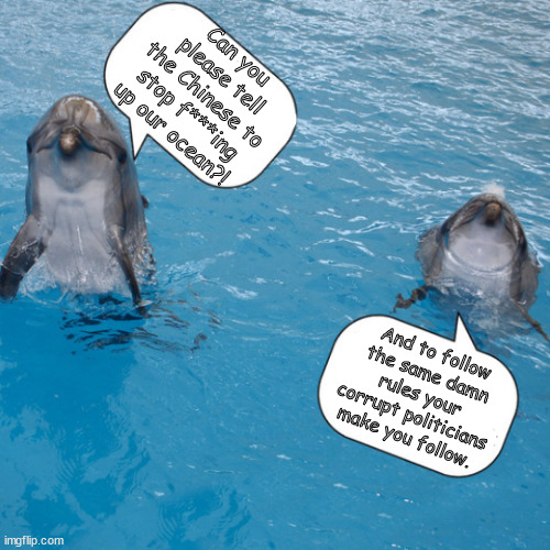 Why China Get Pass? | Can you please tell the Chinese to stop f***ing up our ocean?! And to follow the same damn rules your corrupt politicians make you follow. | image tagged in memes,politics | made w/ Imgflip meme maker