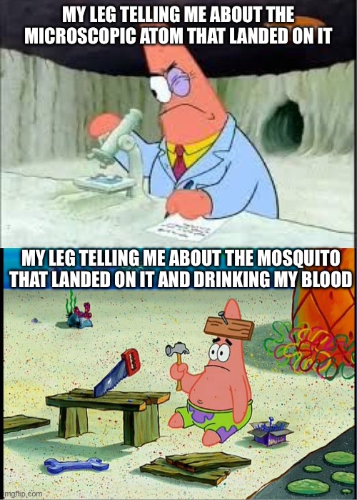 How come i feel nothing but i dont feel a mosquito? | MY LEG TELLING ME ABOUT THE MICROSCOPIC ATOM THAT LANDED ON IT; MY LEG TELLING ME ABOUT THE MOSQUITO THAT LANDED ON IT AND DRINKING MY BLOOD | image tagged in patrick smart dumb,mosquito,meme,funny | made w/ Imgflip meme maker