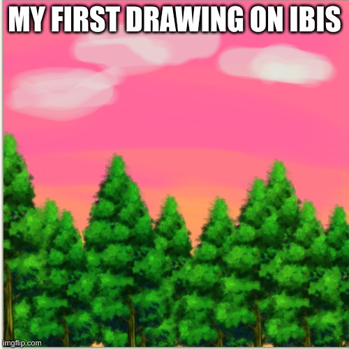 First drawing | MY FIRST DRAWING ON IBIS | made w/ Imgflip meme maker
