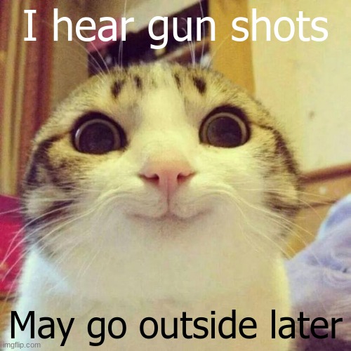 Smiling Cat Meme | I hear gun shots; May go outside later | image tagged in memes,smiling cat | made w/ Imgflip meme maker