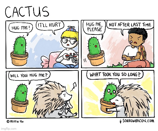 Painful Cactus | image tagged in cactus,cactuses,hugs,hug,comics,comics/cartoons | made w/ Imgflip meme maker