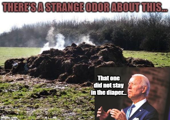 Steaming pile of shit | THERE'S A STRANGE ODOR ABOUT THIS... That one did not stay in the diaper... | image tagged in steaming pile of shit | made w/ Imgflip meme maker