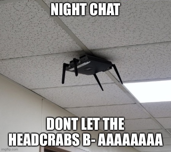 Headcrab irl | NIGHT CHAT; DONT LET THE HEADCRABS B- AAAAAAAA | image tagged in headcrab irl | made w/ Imgflip meme maker