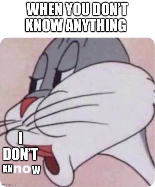 Bugs Bunny No | WHEN YOU DON’T KNOW ANYTHING; I DON’T; KN; W | image tagged in bugs bunny no,bugs bunny | made w/ Imgflip meme maker