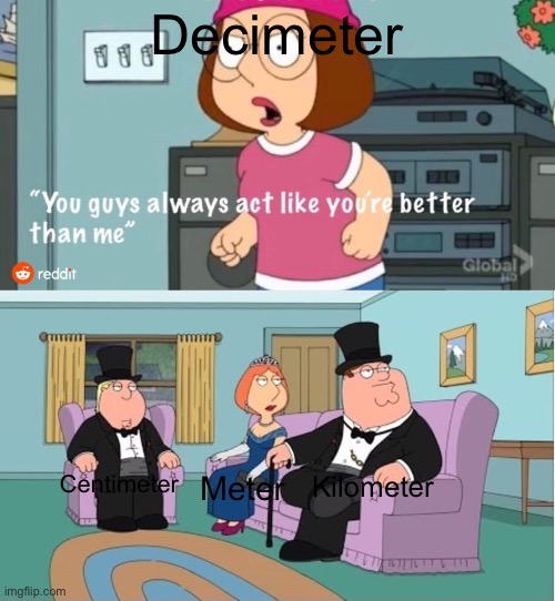 Who remebers the decimeter? | Decimeter; Kilometer; Centimeter; Meter | image tagged in you guys always act like you're better than me,memes,funny,funny memes,metric,iceu | made w/ Imgflip meme maker