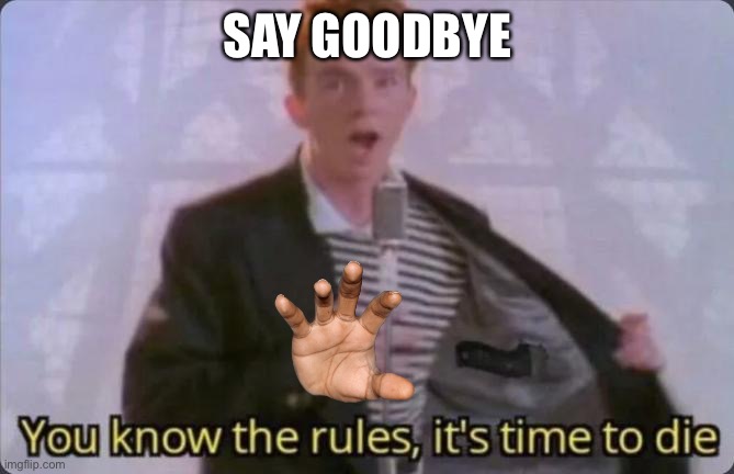 You know the rules, it's time to die | SAY GOODBYE | image tagged in you know the rules it's time to die | made w/ Imgflip meme maker