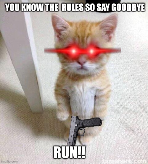 Cute Cat | YOU KNOW THE  RULES SO SAY GOODBYE; RUN!! | image tagged in memes,cute cat | made w/ Imgflip meme maker