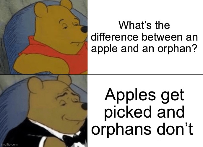 hold up- | What’s the difference between an apple and an orphan? Apples get picked and orphans don’t | image tagged in memes,tuxedo winnie the pooh | made w/ Imgflip meme maker