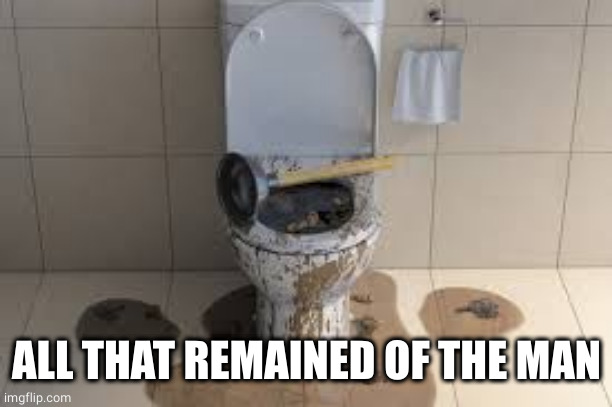 my toilet | ALL THAT REMAINED OF THE MAN | image tagged in my toilet | made w/ Imgflip meme maker