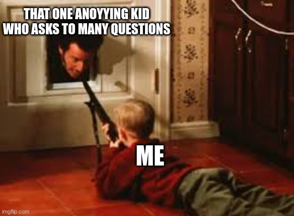 THAT ONE ANOYYING KID WHO ASKS TO MANY QUESTIONS; ME | image tagged in home alone,gun | made w/ Imgflip meme maker