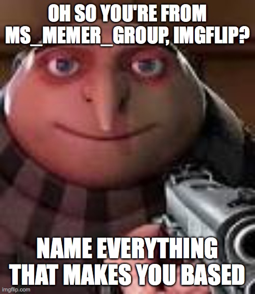 Gru with Gun | OH SO YOU'RE FROM MS_MEMER_GROUP, IMGFLIP? NAME EVERYTHING THAT MAKES YOU BASED | image tagged in gru with gun | made w/ Imgflip meme maker