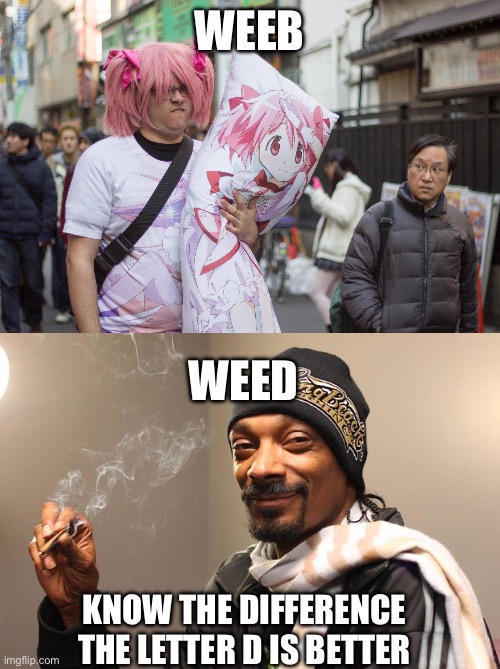 WEEB; WEED; KNOW THE DIFFERENCE THE LETTER D IS BETTER | image tagged in weeb in japan,snoop dogg | made w/ Imgflip meme maker