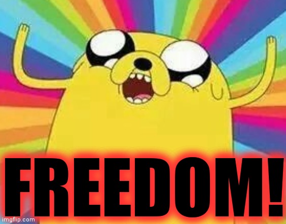 Jake is Happy | FREEDOM! | image tagged in jake is happy | made w/ Imgflip meme maker