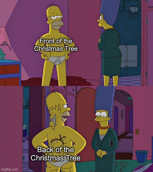 The Front will always be Better | Front of the Christmas Tree; Back of the Christmas Tree | image tagged in homer simpson's back fat,memes,christmas,christmas tree,funny,christmas memes | made w/ Imgflip meme maker