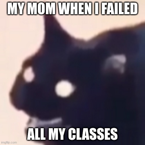 POV you failed | MY MOM WHEN I FAILED; ALL MY CLASSES | image tagged in cursed cat | made w/ Imgflip meme maker