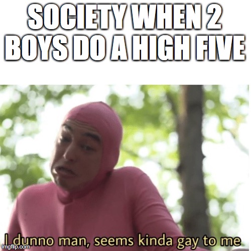 I dunno man seems kinda gay to me | SOCIETY WHEN 2 BOYS DO A HIGH FIVE | image tagged in i dunno man seems kinda gay to me | made w/ Imgflip meme maker