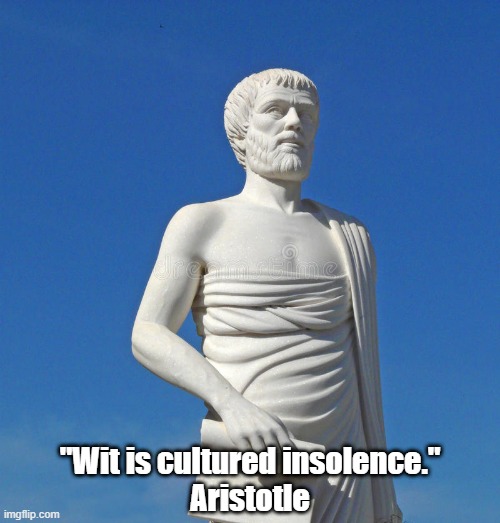 Aristotle On Wit | "Wit is cultured insolence."
Aristotle | image tagged in aristotle,wit,insight | made w/ Imgflip meme maker