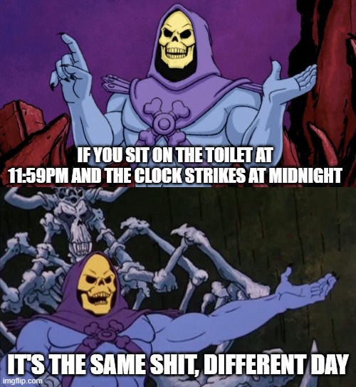 Skeletor same sh!t | IF YOU SIT ON THE TOILET AT 11:59PM AND THE CLOCK STRIKES AT MIDNIGHT; IT'S THE SAME SHIT, DIFFERENT DAY | image tagged in skeeltor | made w/ Imgflip meme maker