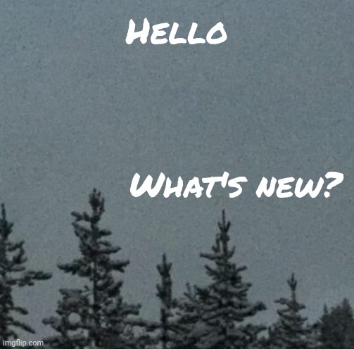 Cold | Hello; What's new? | image tagged in cold | made w/ Imgflip meme maker