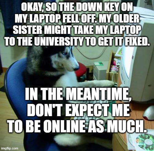 I'll explain more about the situation in the comments. | OKAY, SO THE DOWN KEY ON MY LAPTOP FELL OFF. MY OLDER SISTER MIGHT TAKE MY LAPTOP TO THE UNIVERSITY TO GET IT FIXED. IN THE MEANTIME, DON'T EXPECT ME TO BE ONLINE AS MUCH. | made w/ Imgflip meme maker
