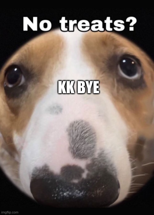 No treats? | KK BYE | image tagged in no treats | made w/ Imgflip meme maker